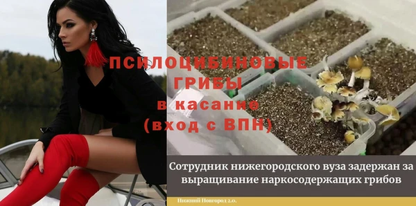 мескалин Белоозёрский